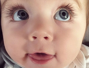 在线轰炸网页版