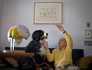 全能实用可靠的短信压力测试破解版