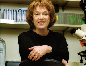 在线免费轰炸电话网页版