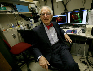 呼死你在线免费试用